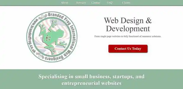 Website design