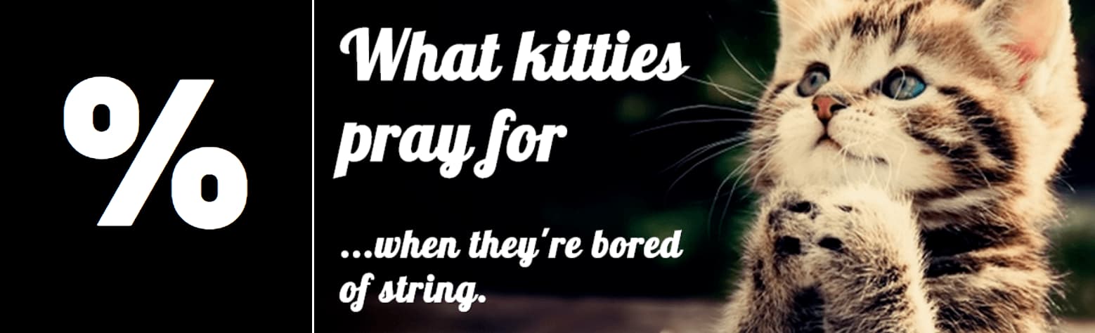 What kitties pray for ...when they'er bored of string | Image copyright 2013 alejandro-vrl