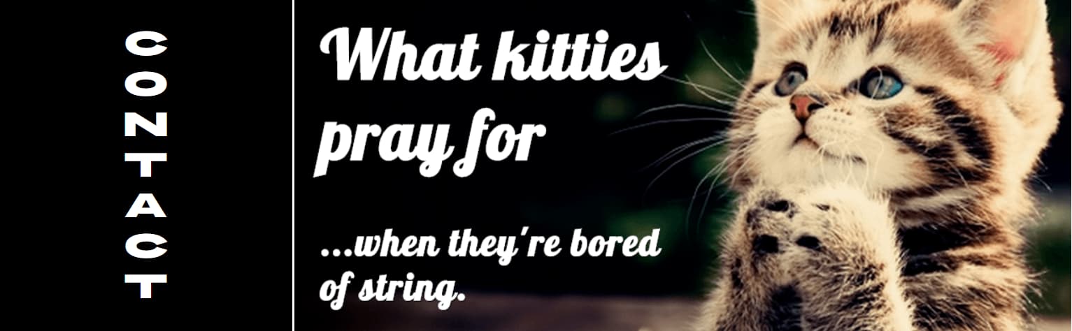 What kitties pray for ...when they'er bored of string | Image copyright 2013 alejandro-vrl