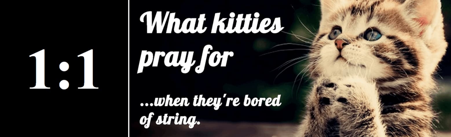 What kitties pray for ...when they'er bored of string | Image copyright 2013 alejandro-vrl