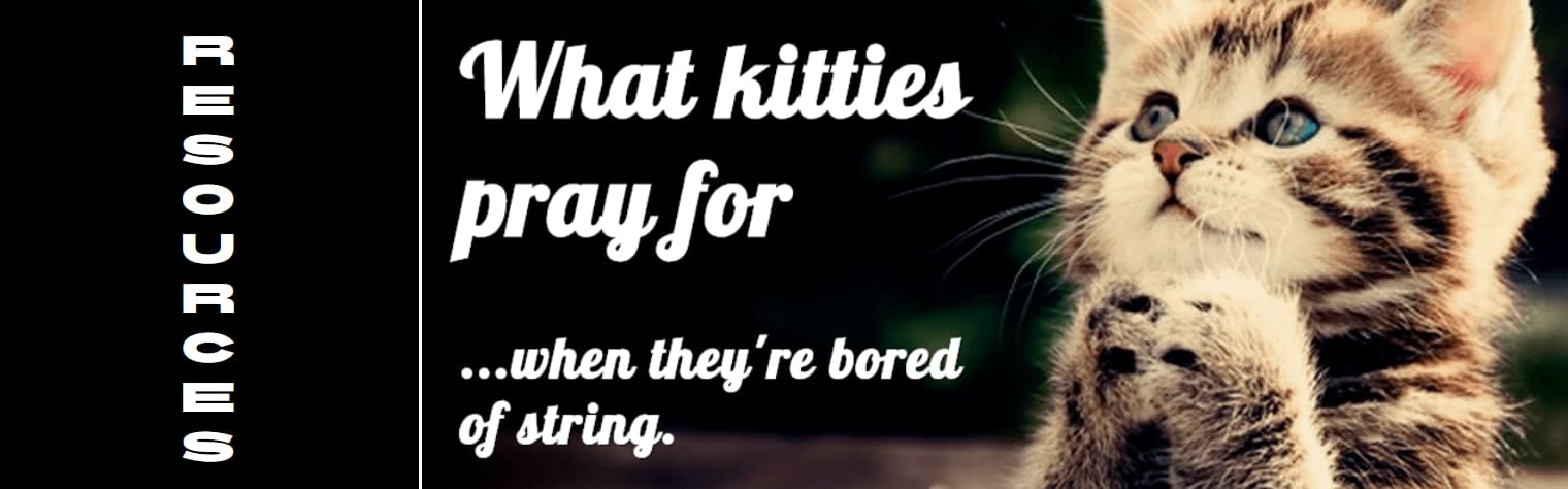 What kitties pray for ...when they'er bored of string | Image copyright 2013 alejandro-vrl